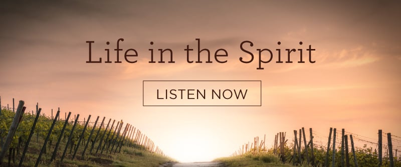 what-is-the-holy-spirit-s-role-in-the-christian-s-life-audit-student